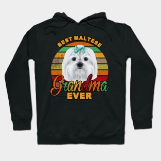 Best Maltese Grandma Ever Hoodie